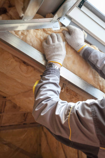 Best Wall Insulation Contractor  in USA